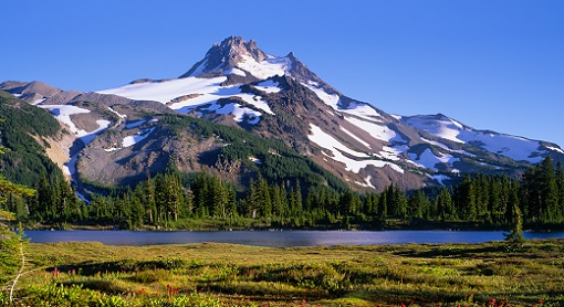 Mount Jefferson with some snow. In front are green trees, a small lake, and some grass.