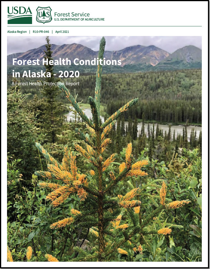 Cover of the 2020 Conditions Report.