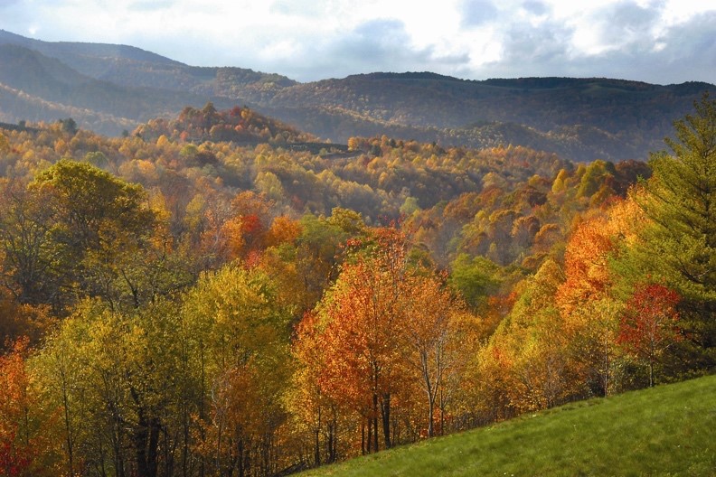 Trees in fall color surround a green field
