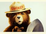 Smokey bear