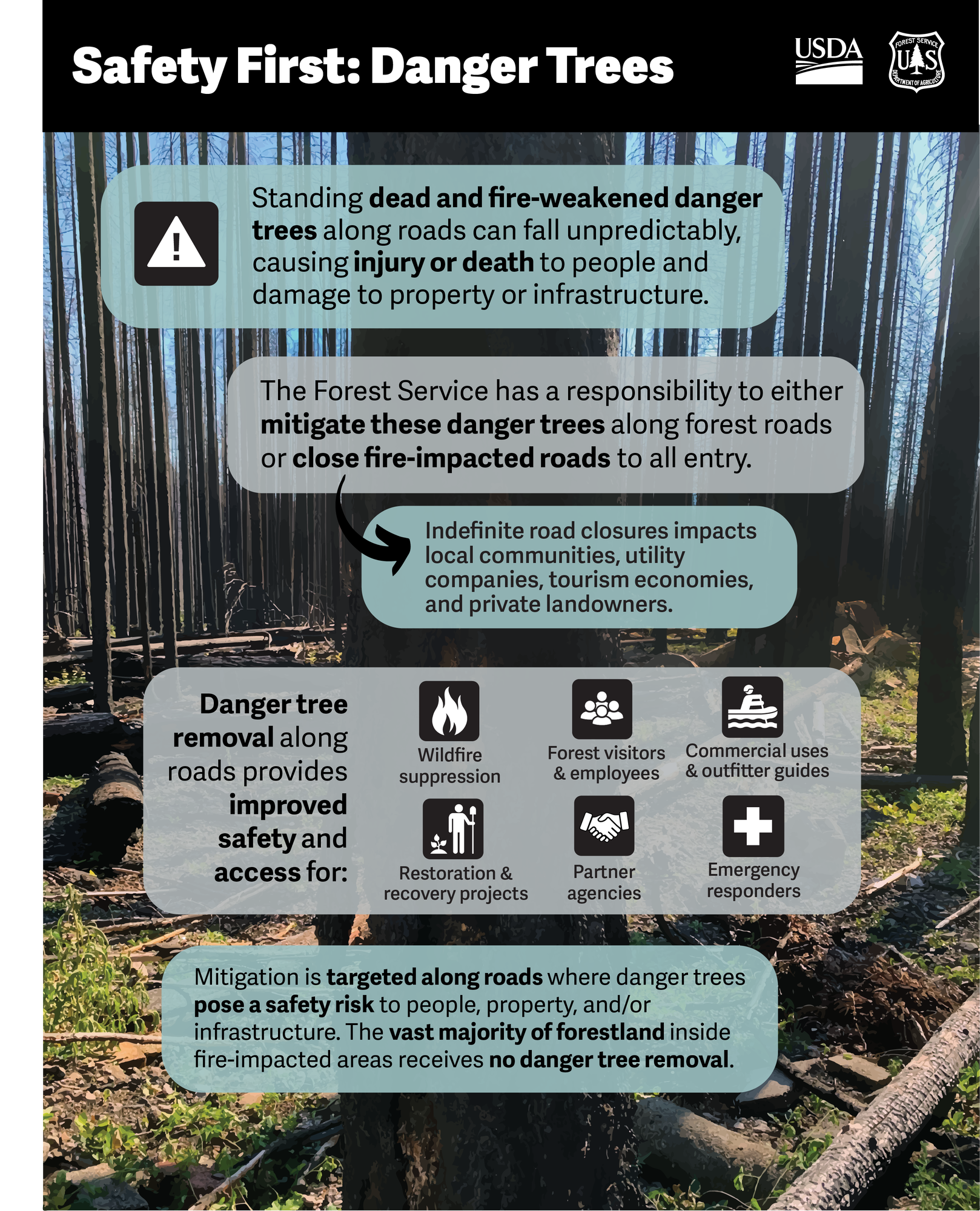 A document that lists safety concerns of danger trees