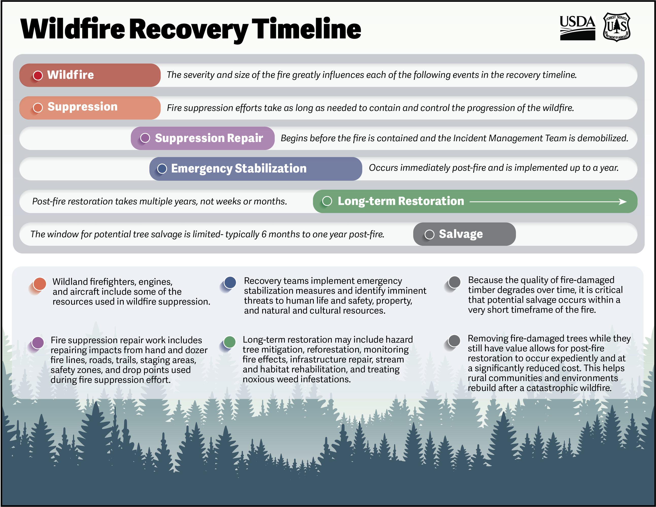 A graphic that shows a wildfire recovery timeline including long-term restoration
