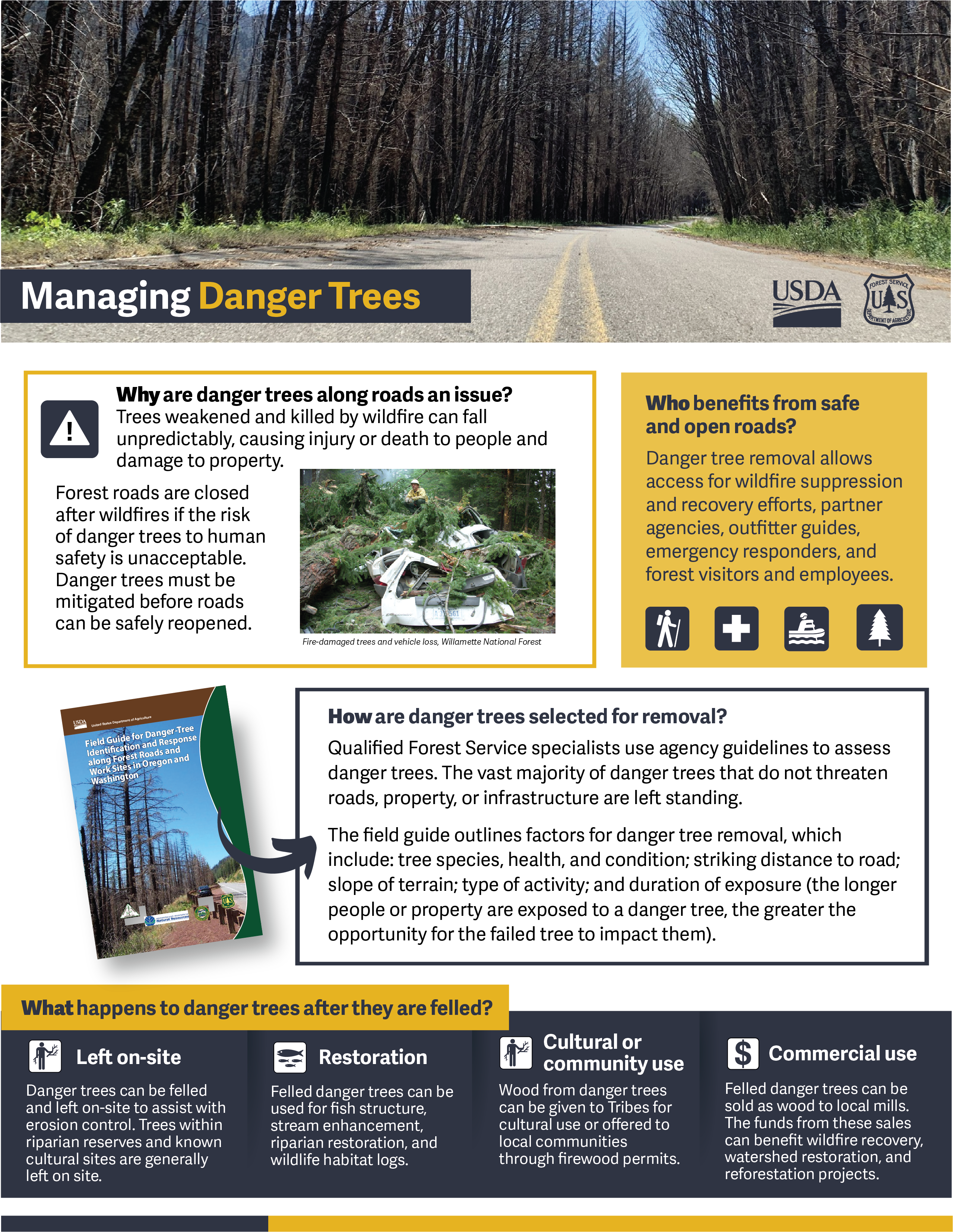 A graphic that shows why danger trees are an issue. A photo shows burned trees next to a road.