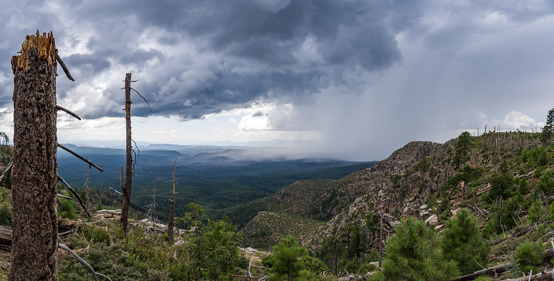 panoramic view of a monsoon over a large swath of the Coconino National Forest