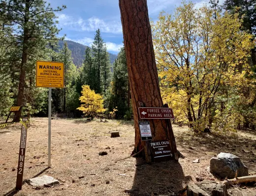 Forsee Trailhead Signs posted on trees