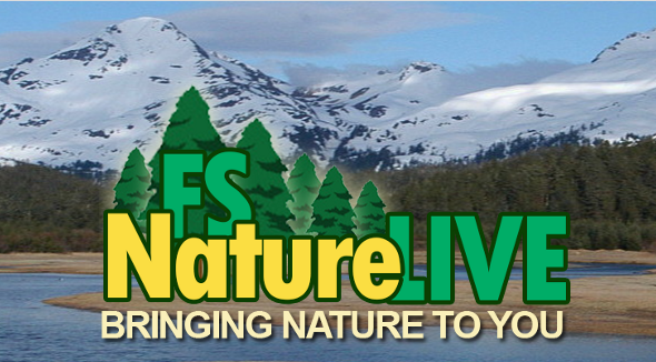FS Nature Live logo