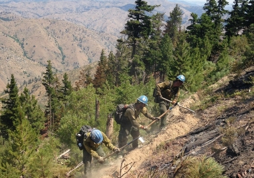 fire management crew digs a line on a hillside