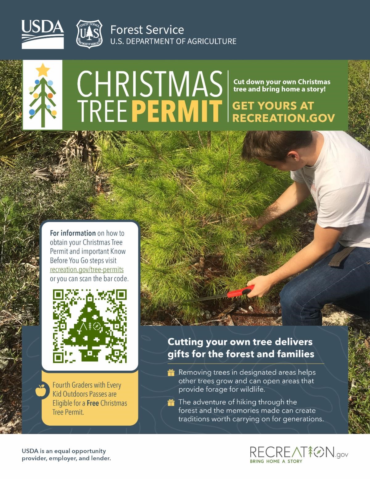 Christmas Tree Permit California 2024 Eydie Jaquith