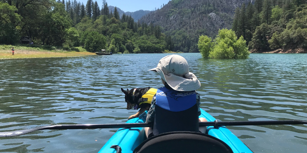 A young child and dog both wear life vests while kayaking on Shasta Lake