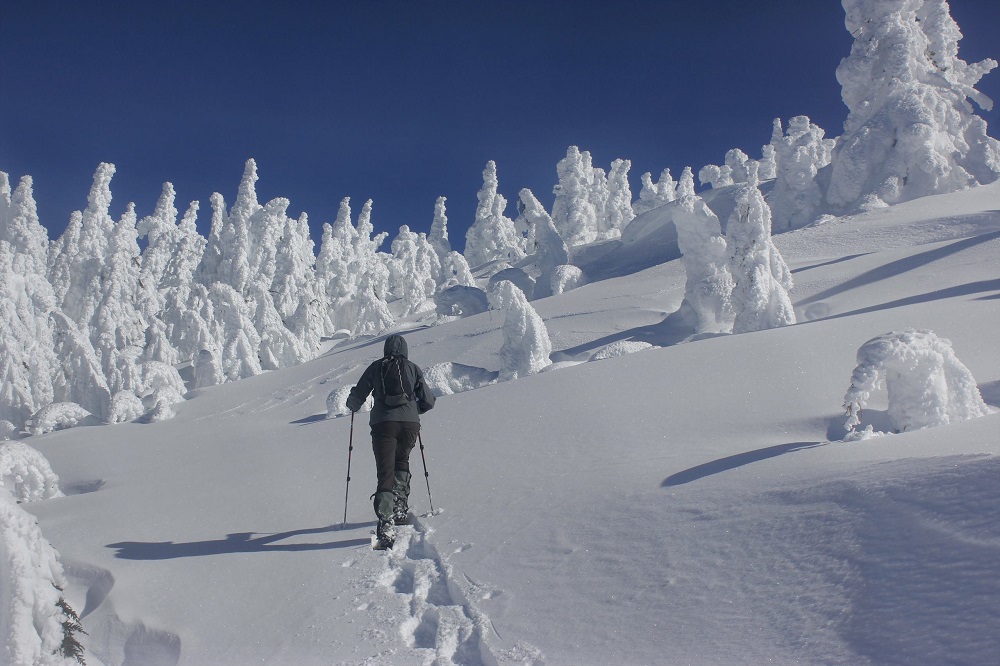 A man is snowshoeing across a snow covered slope surrounded by snow-covered trees.