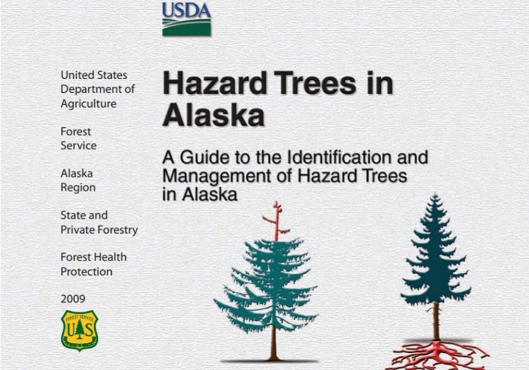 Cover of the Hazard Trees in Alaska guide