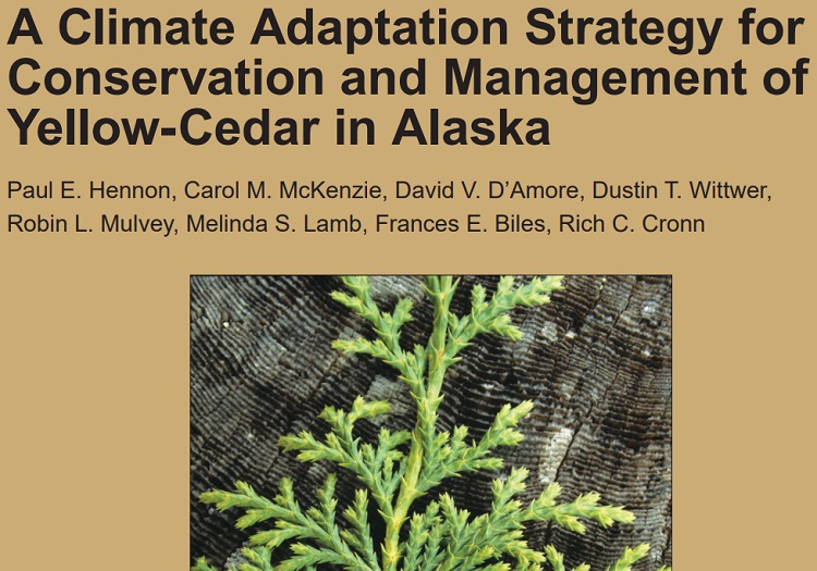 Yellow-cedar Strategy cover.