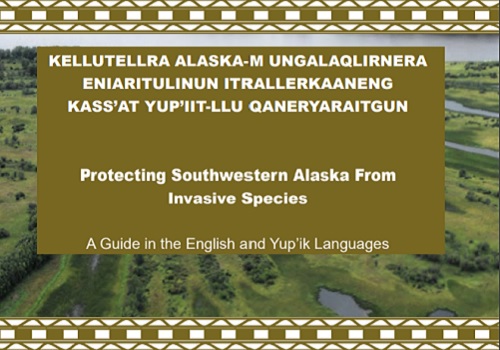 Invasive Plants of Southwestern Alaska guide.
