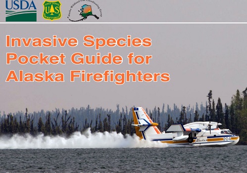 Invasive Species Pocket Guide for Alaska Firefighters