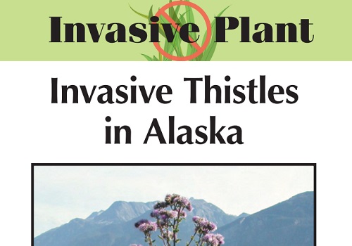 Invasive Plant Leaflets