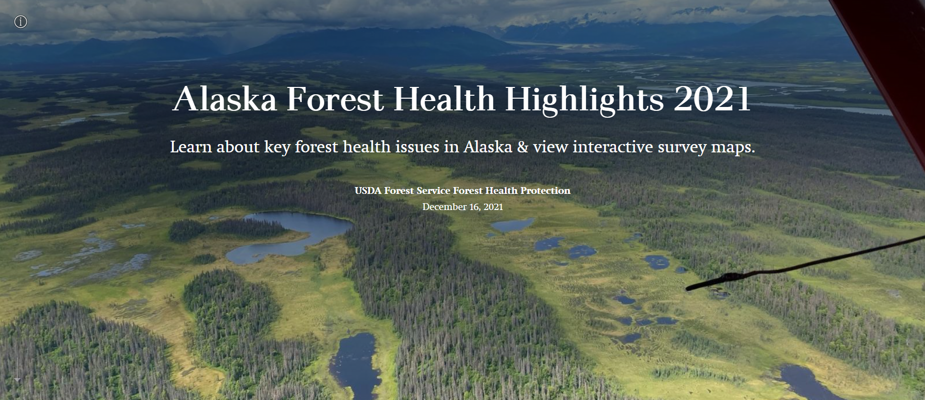 Cover of the 2021 Alaska Forest Health Storymap