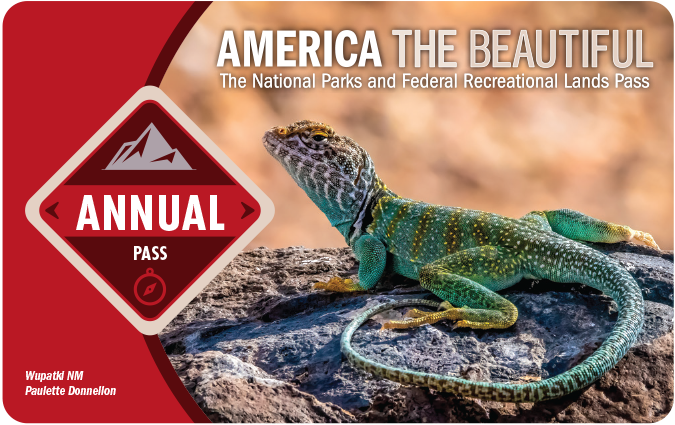 Graphic of the Annual Recreation Pass