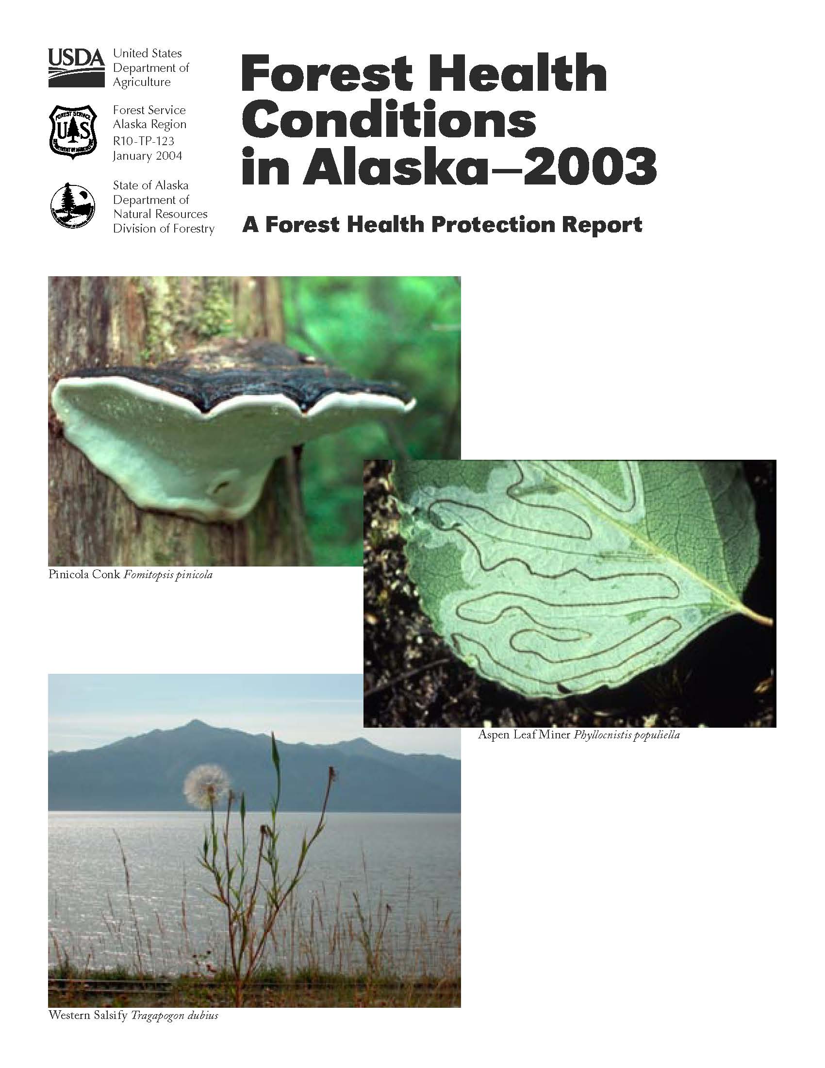 cover of the 2003 Conditions Report