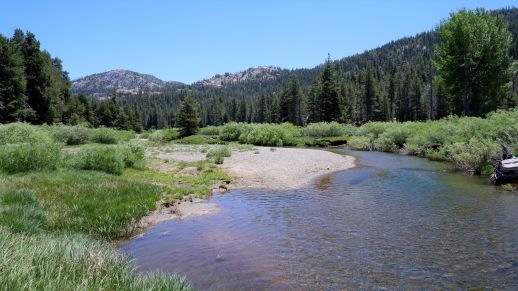 River running through meadow with trees and mountains in background
