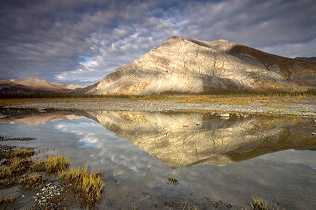 Tundra and mountain in the Arctic Wilderness.