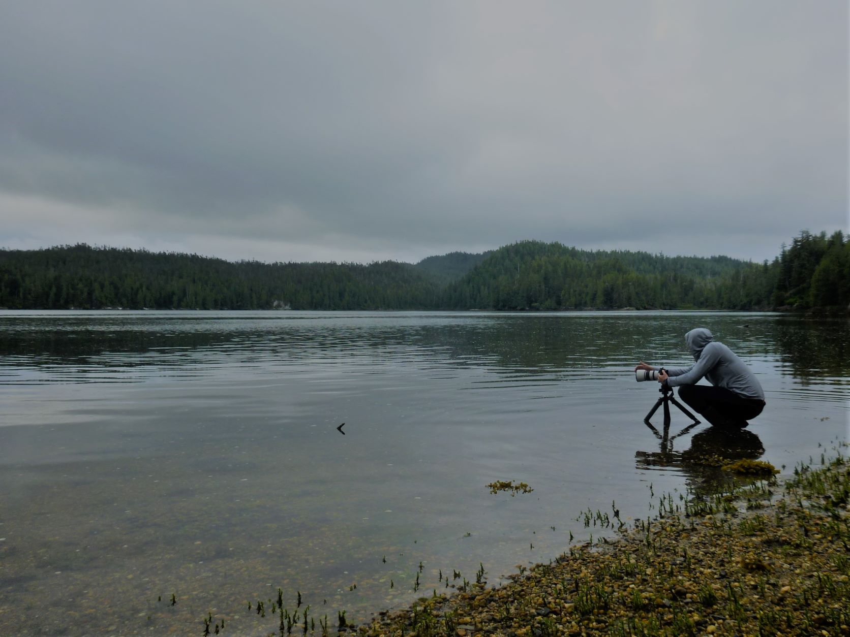 Jason Baldwin looks through his camera on a marshy shore.