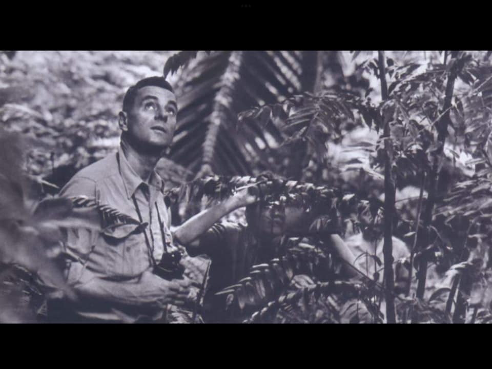 A picture of a young Dr. Wadsworth in the forest