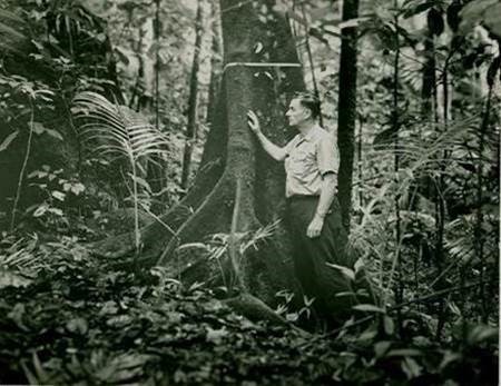 A young Wadsworth in a forest 