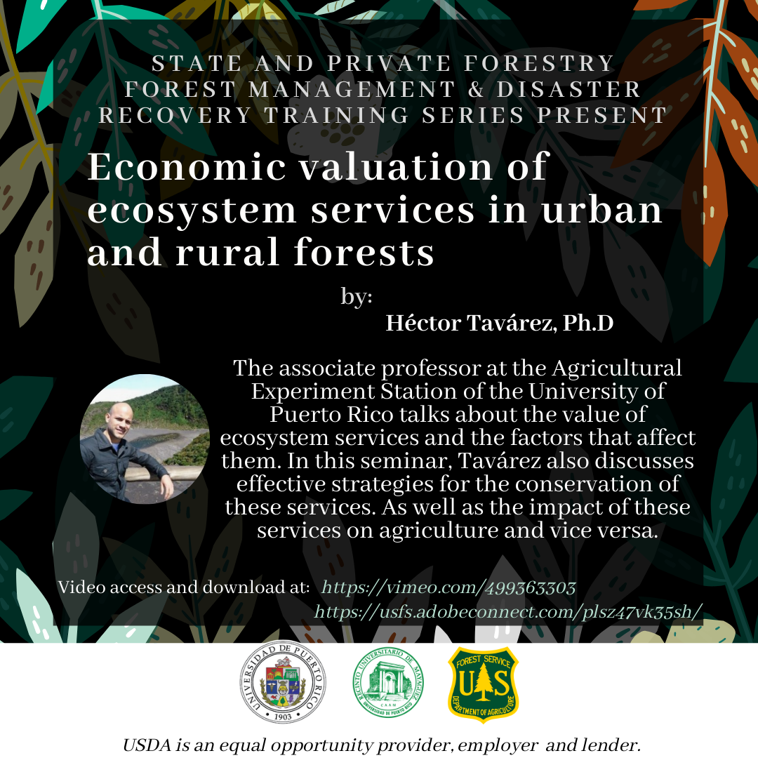 State and Private Forestry Programs Factsheet thumb