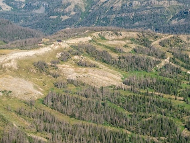 Wolf Creek Pass with spruce beetle-kill, 2020. Photo: Colorado State Forest Service