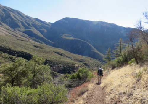 A hiker heading down a trail in the rugged Sespe Wilderness surrounded by mountains.