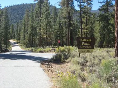 Image of road leading to Heart Bar Family Campground entrance sign with trees in the background