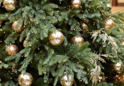 Christmas Tree Permits for sale.