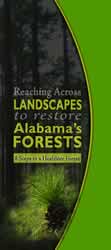 Reaching Across Landscapes to restore Alabama's Forests - 8 Steps to a Healthier Forest