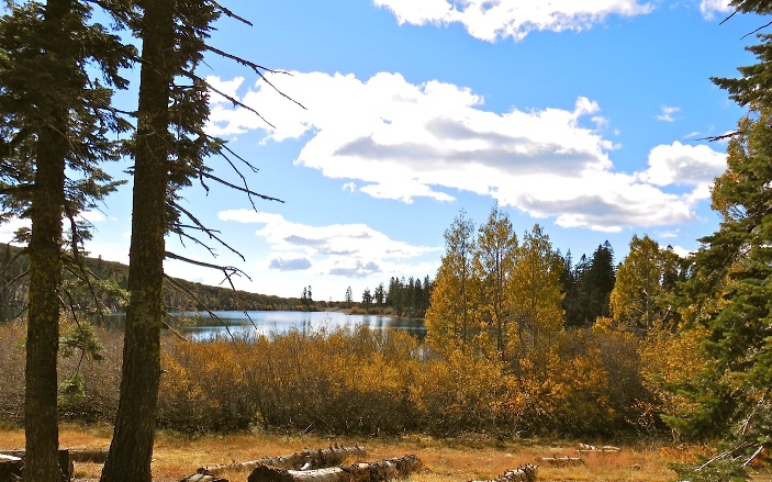 trees in fall foliage with Carr Lake in middle-ground