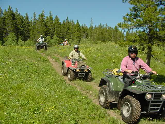 People riding atv's on a trail through a meadow