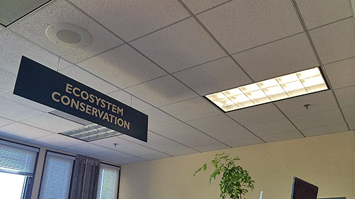 Rectangular shaped ceiling light next to Ecological Restoration sign in an office.