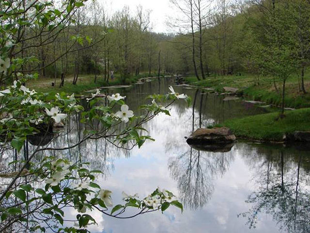 View of the Stone Mill Creek during spring