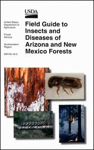 Cover image of Field Guide to Forest Insects and Diseases in the Southwest publication