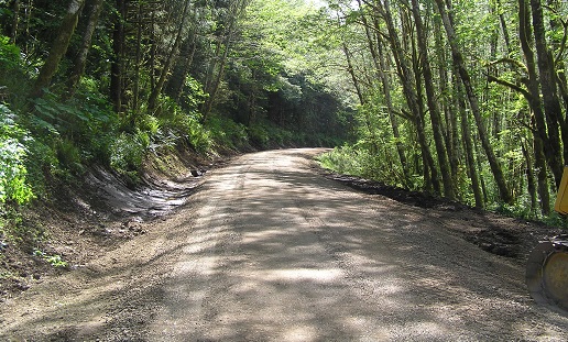 Forks, Washington area on the 30 Road (West Twin Road)