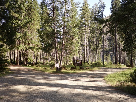 North Fork Campground loop road with information board in view; campsite with picnic table to right.