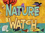 Nature Watch