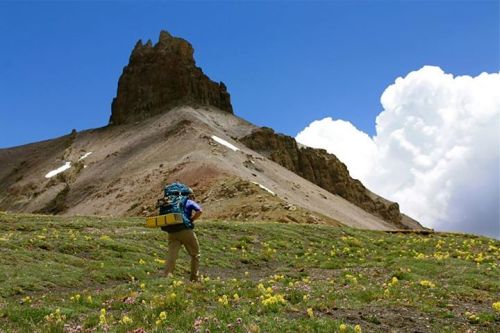 Photo of backpacker with lizard head in background