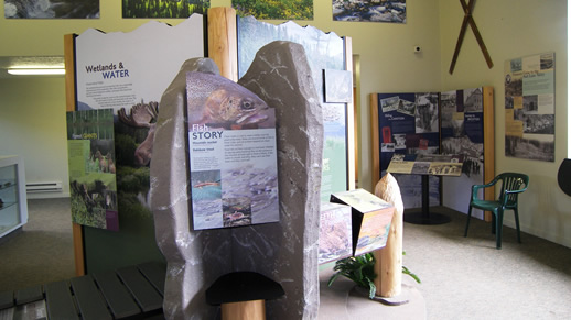 Photo of the fish display at the visitor center.