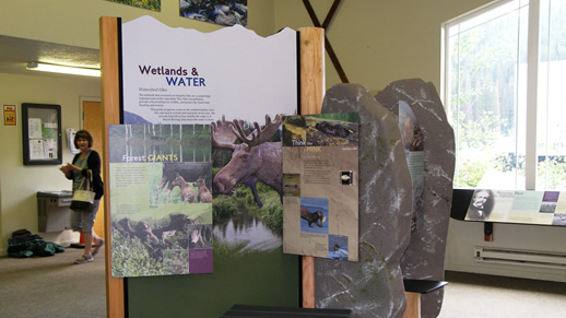 Photo of the Wetlands and Water, Forest Giants and Think like a Mink displays at the visitor center.
