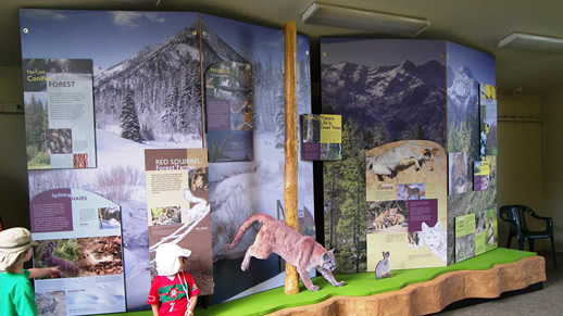 Photo of a display that had information on a number of different mammals at the visitor center.