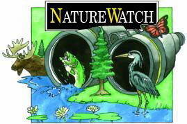 Engaging in NatureWatching activities leads to greater personal connection to the environment