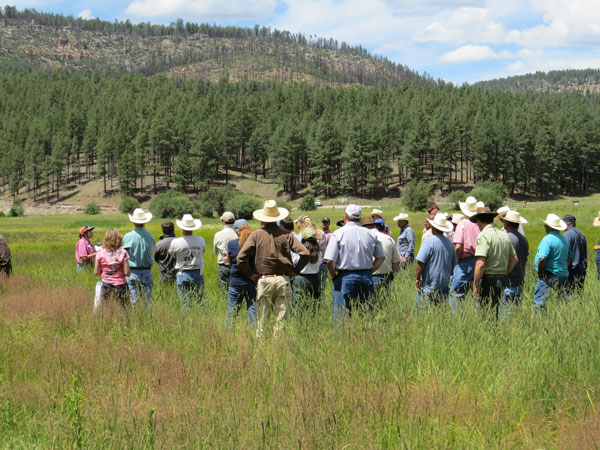 USFS and ranchers meet on the Santa Fe