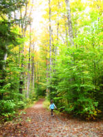 Fall hiking is a favorite for families - the weather is perfect.