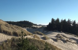 view of dunes from the Oregon Dunes Day Use viewing platform