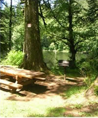 photo showing clearing around the picnic table and  stove at the campground